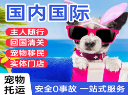丽江空运地址国际宠物托运 【国